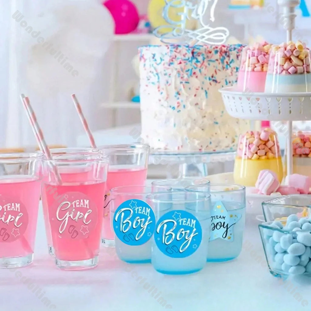 Rolo de 500 Adesivos "Team Boy & Team Girl"